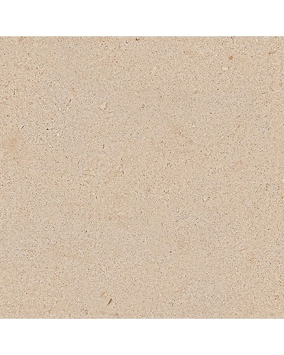 BUTTERFLY IVORY-10868754