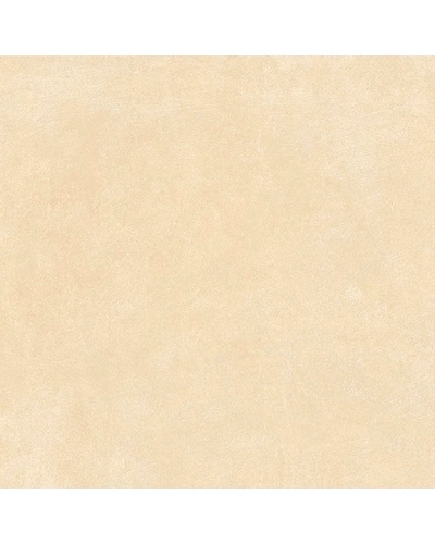 1705-10868768