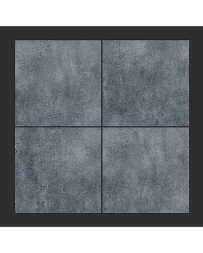 6009-1