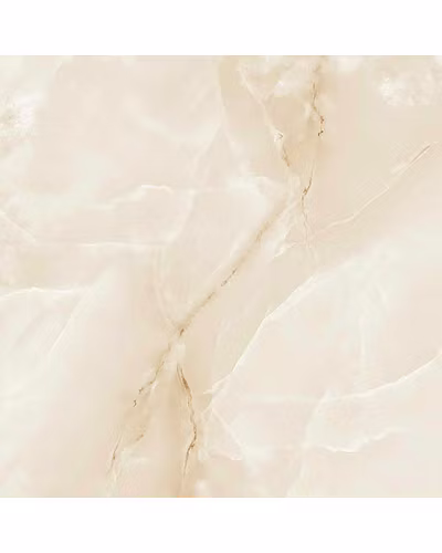 AGASIYA GRIS-10871518