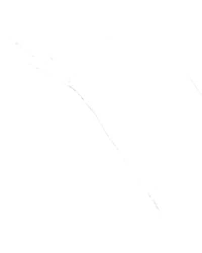 ALASKA WHITE-10871552