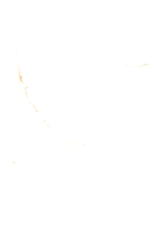 ATLANTIC ONYX