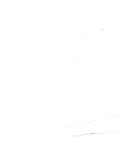 BIANCO DOLOMITE-10873976