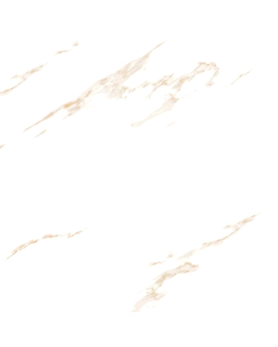 BIANCO STONE-10873984