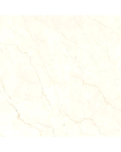 BOTTOCHINO CREMA-10874562