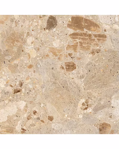 BRECCIA STONE BROWN-10874576