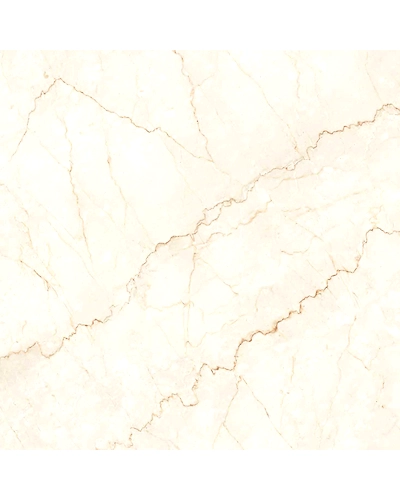 BRISK BOTTOCHINO GREY-10874582