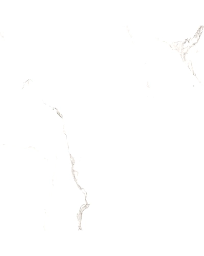 CANVAS WHITE-10874628