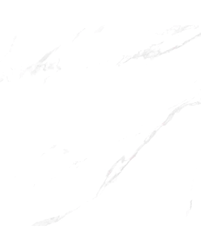 CARARRA NATURAL GREY-10874632