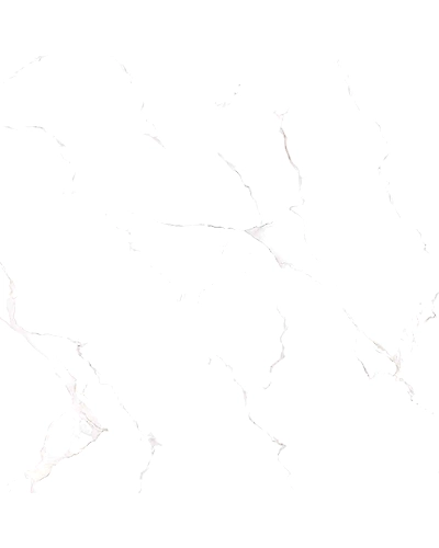 CLASSIC SATUARIO-10874748