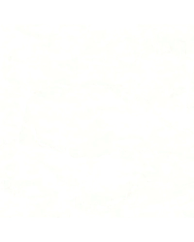 DELICATE BIANCO-10874848