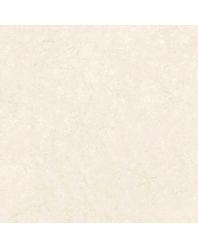 ITALIAN BOTTOCHINO BIANCO-10876726