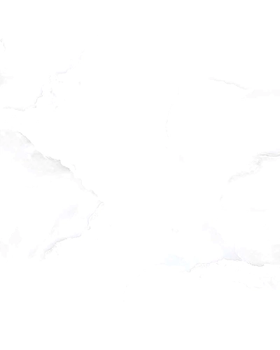 LOLITE ONYX-10878218