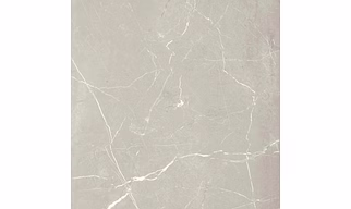 NEXUS GRIS