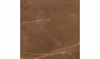 PULPIS BROWN