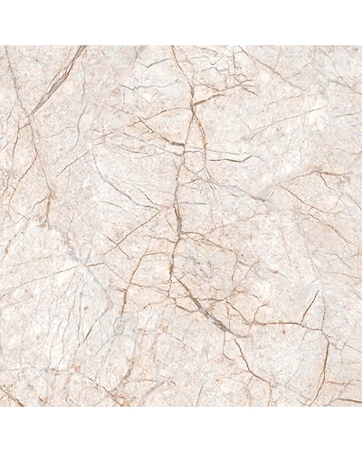 RAINFOREST NATURAL-10881122