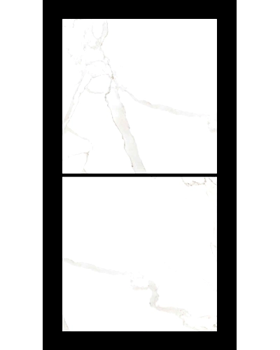 SATUARIO CARLOS-1