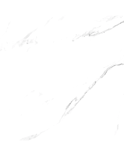 SATUARIO CARRARA-10882566