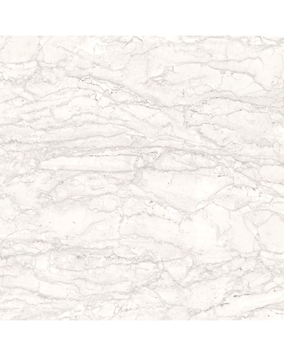 SERENIA SILVER-10882584