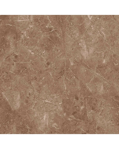 SOUL BROWN-10882610