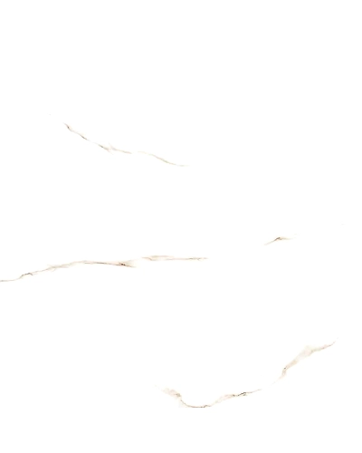 SUPER SATUARIO-10882656