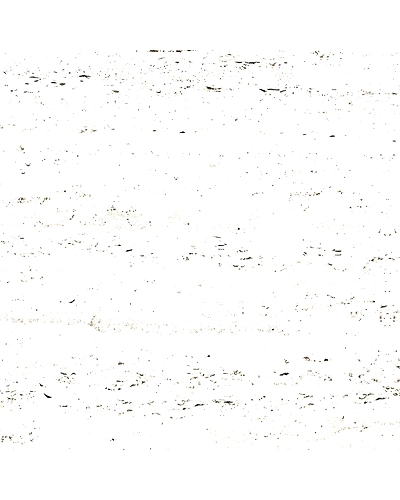 TRAVERTINO WHITE-10882696