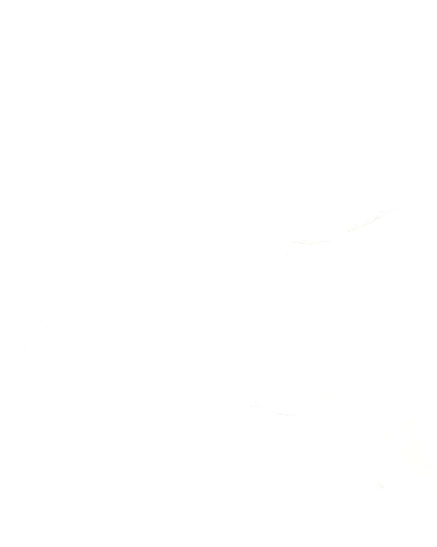 VELENTINO WHITE-10882728