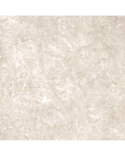 VENUS GREY-10882736