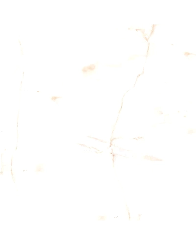 VIVANTA ONYX-10882872