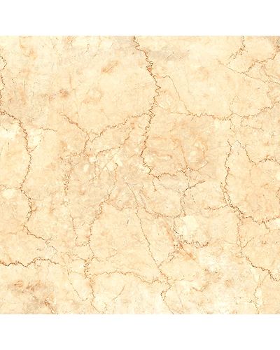 1003-10886490
