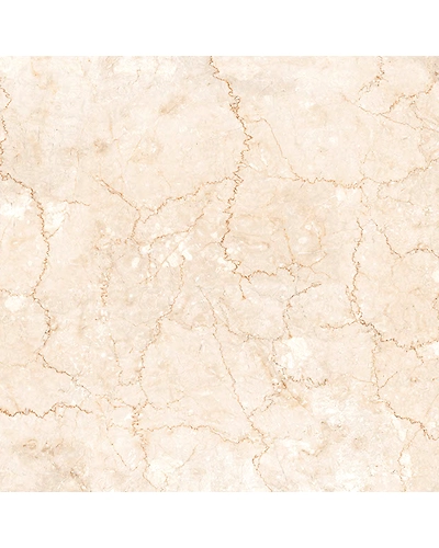 1004-10886492
