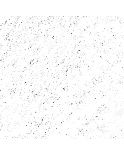 1017-10886804