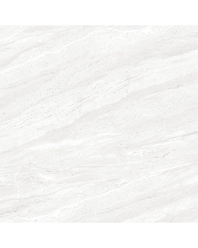 ACACIA GREY-10886874