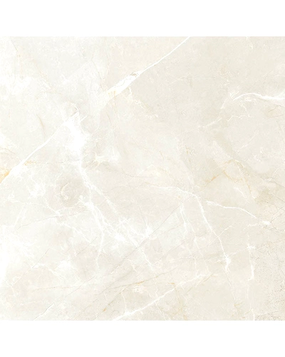 ARCTIC WHITE-10886904