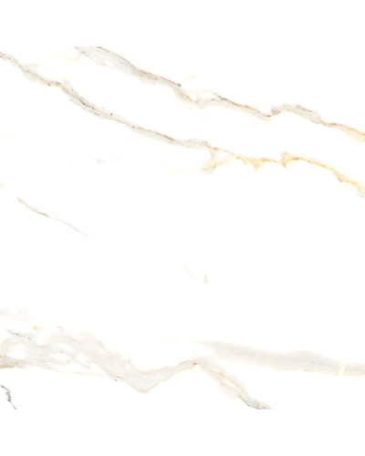 ARTIC WHITE-10886932
