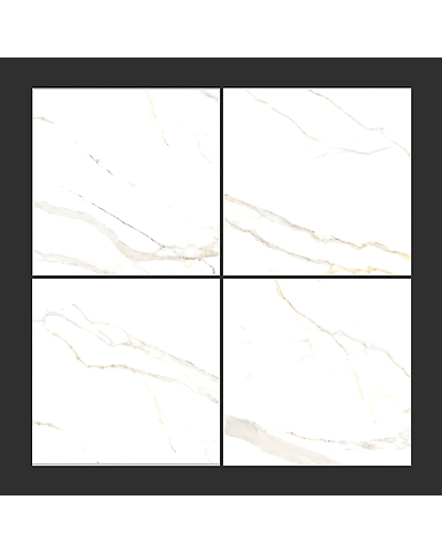 ARTIC WHITE-1