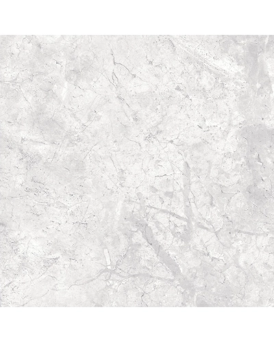 ATHENA BIANCO-10886940