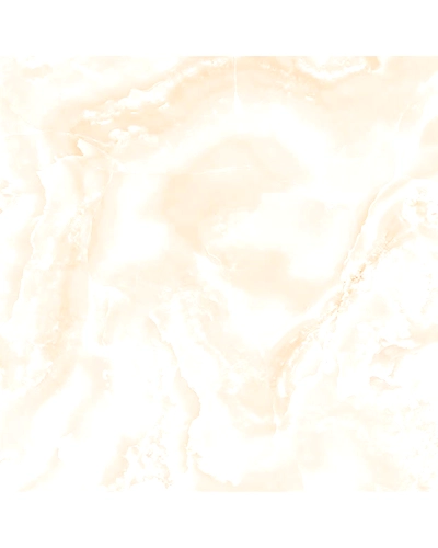 ATLANTIC PINE-10886948