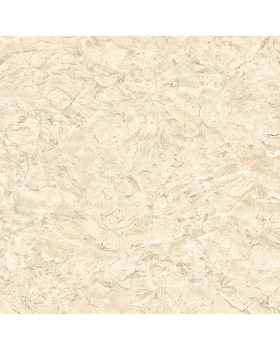 BILOLA-10886992