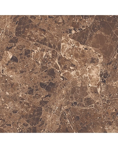 BROWN HICHORI-10887032