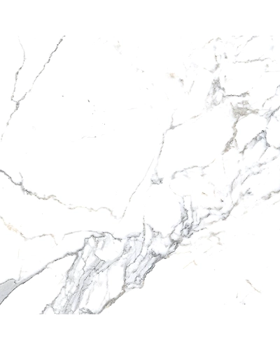 CALCATTA VENATINO-10887038