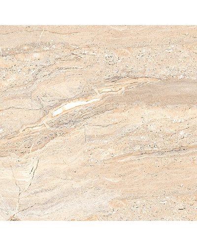 CAMBRIGE DYNA-10887046