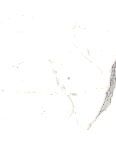 CEZAR WHITE-10895006