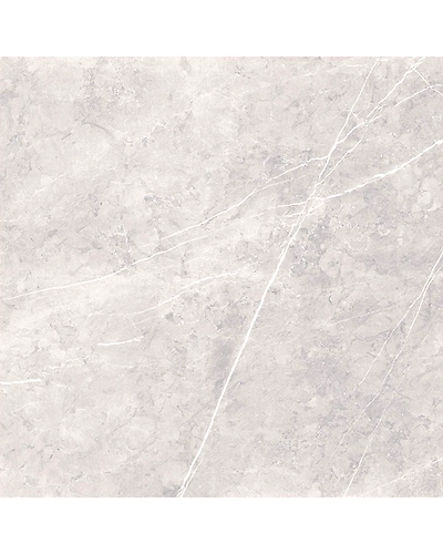 CIANA GREY-10895014