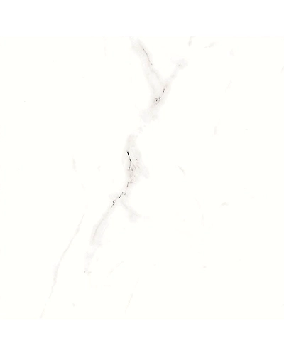 CLASSIC VENATO-10895056