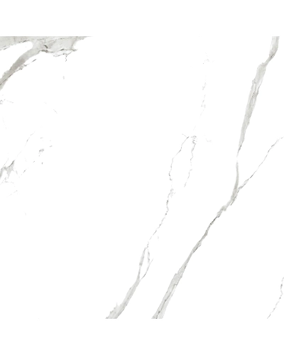 ELITE RENOIR-10895238