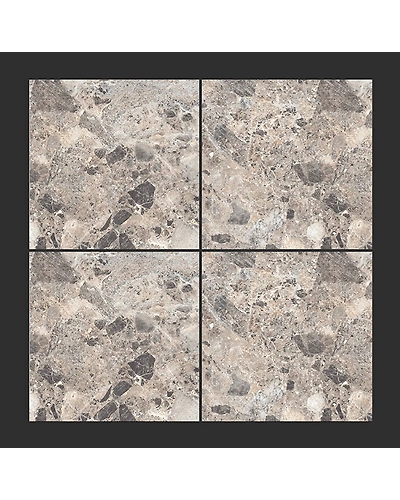 EXOTIC EMPRADOR GREY-1
