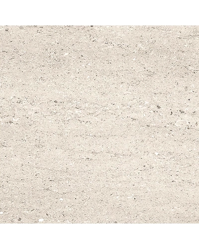 FABIA GREY-10895262