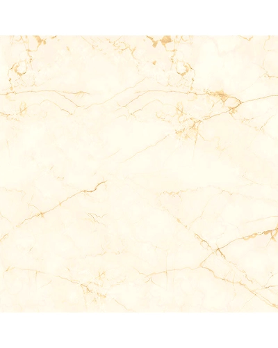 FUSION CREMA-10895524