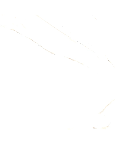 GOLDEN SATUARYO-10895532
